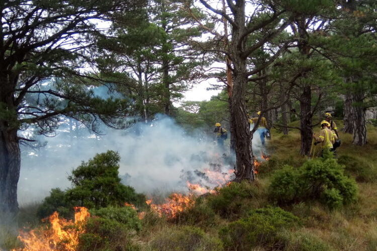 1st August 2014, La Llacuna. A lightning fire was intentionally let burn under controlled conditions. Credits: Joan Herrera/Bombers de la Generalitat de Catalunya