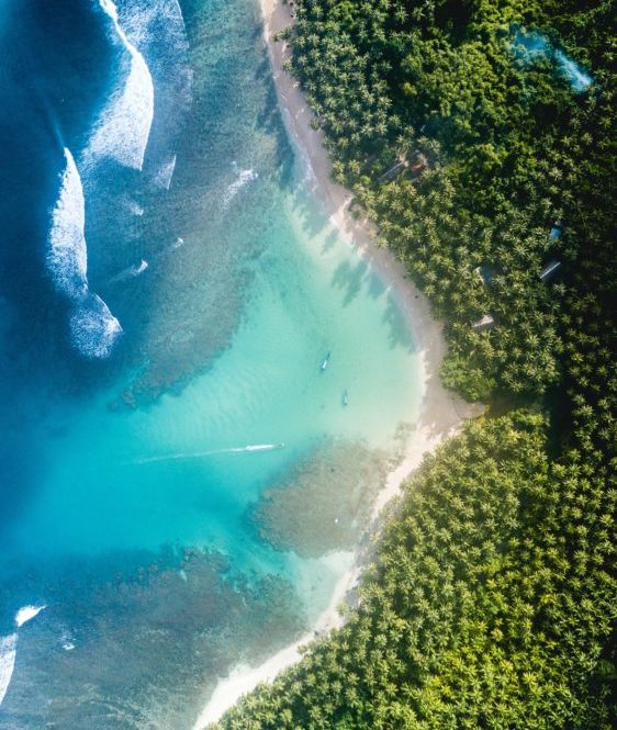 Tropical landscape